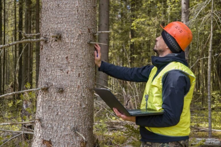 Do Tree Removal Companies in Downey Offer Free Estimates?