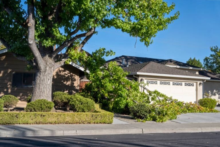 Is Tree Removal Covered by Homeowners Insurance in Downey, CA?